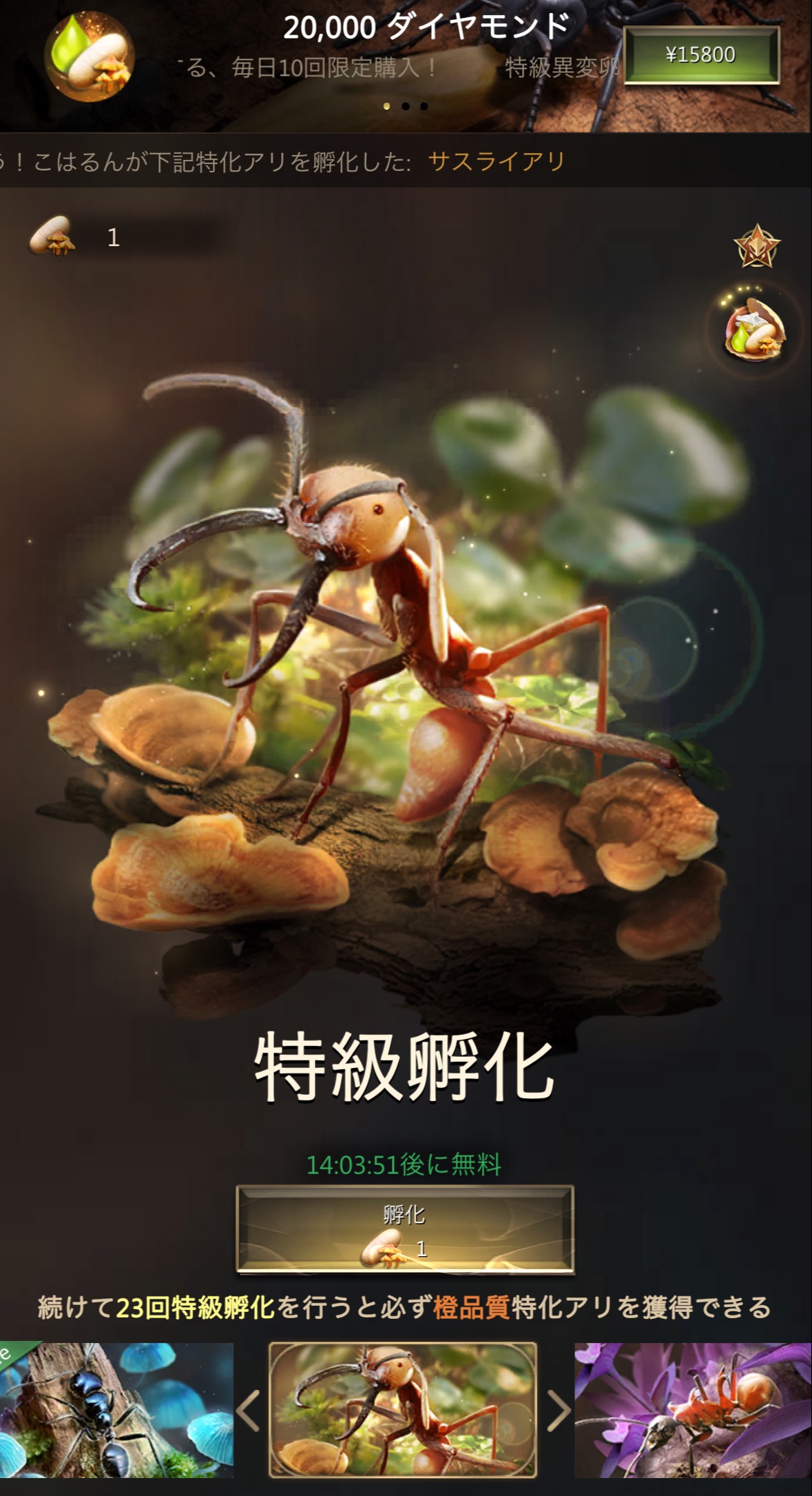 孵化ガチャ 孵化ガチャ